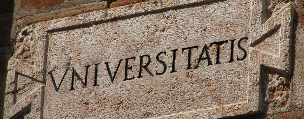 Noi nu încurajăm plagiatul